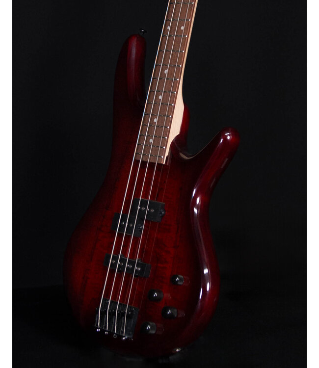 Ibanez GSR200SM 4-String Bass, Spalted Charcoal Brown Burst