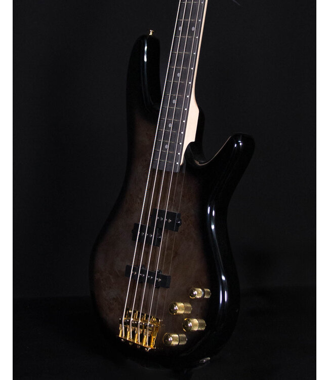 Ibanez GSR200PC 4-String Electric Bass, Transparent Pale Black Burst