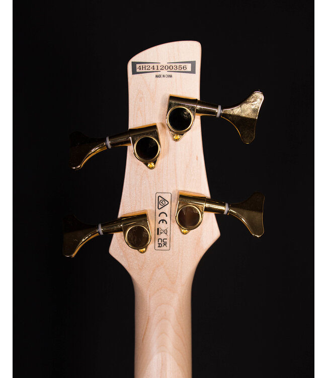 Ibanez GSR200PC 4-String Electric Bass, Transparent Pale Black Burst