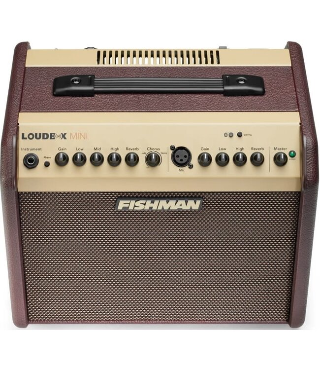 Fishman Loudbox Mini Bluetooth - 60 watts