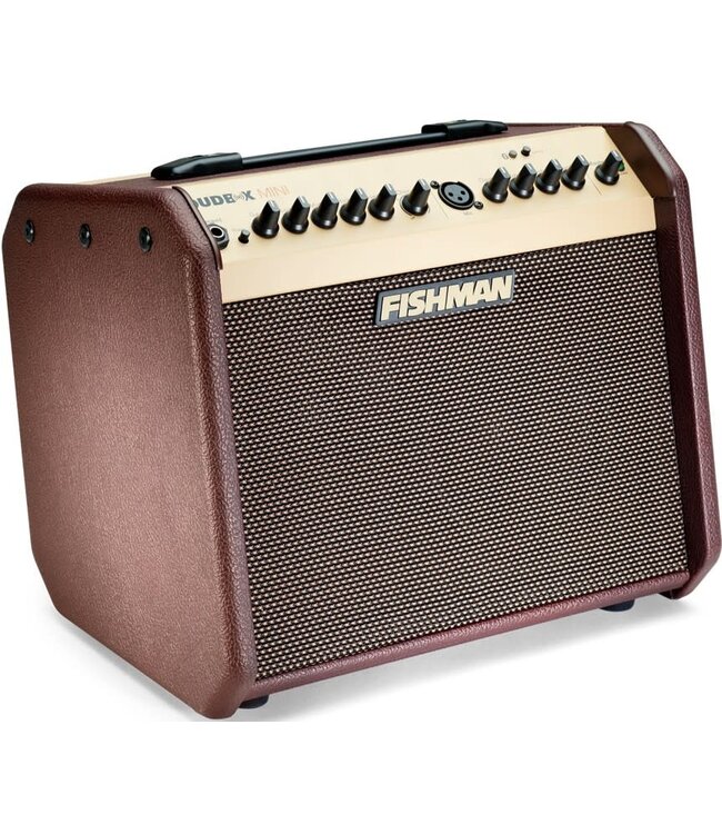 Fishman Loudbox Mini Bluetooth - 60 watts