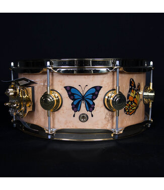 Drum Workshop DW Sheila E. Icon Snare Drum, 13" x 5.5" Gold Hardware