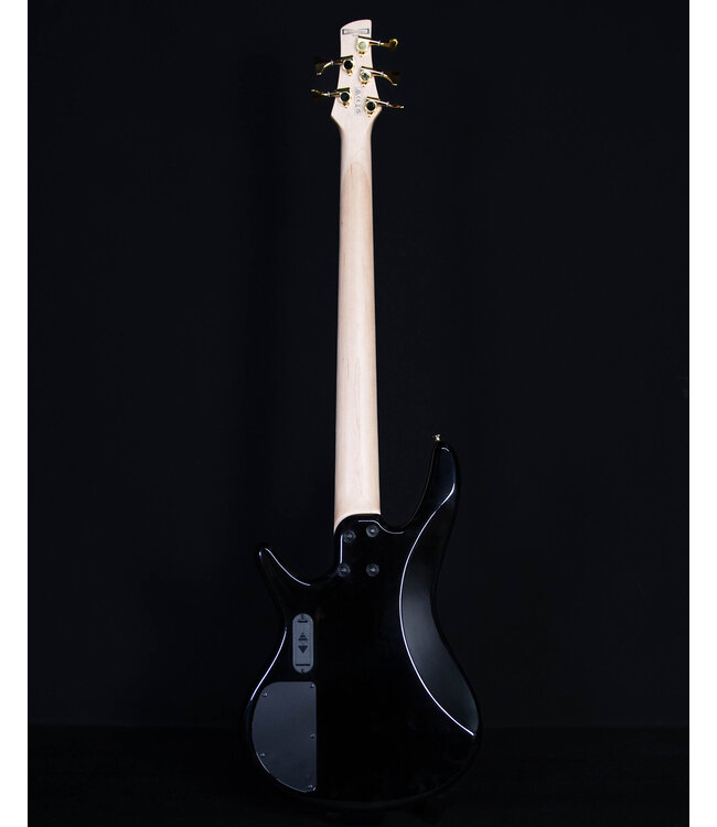 Ibanez GSR205PC 5-String Electric Bass, Transparent Marine Burst