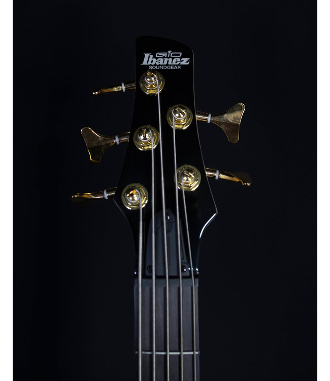Ibanez GSR205PC 5-String Electric Bass, Transparent Marine Burst