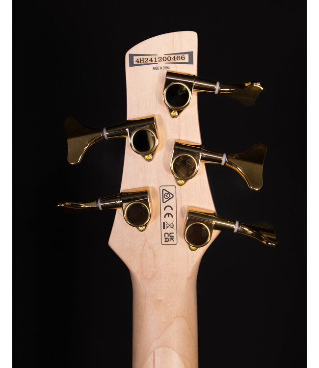 Ibanez GSR205PC 5-String Electric Bass, Transparent Marine Burst