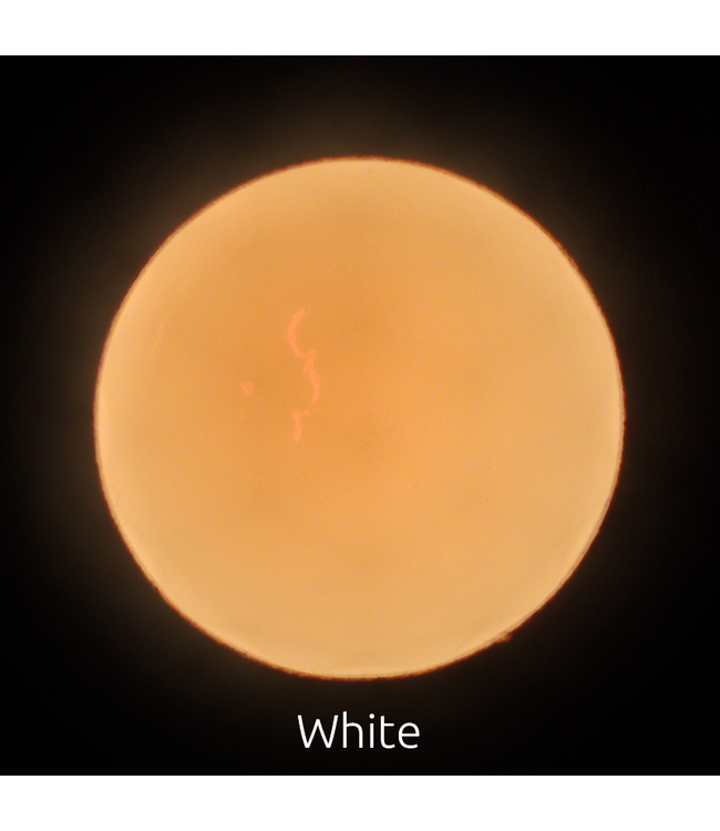 Fender Style Indicator Light Jewel, White