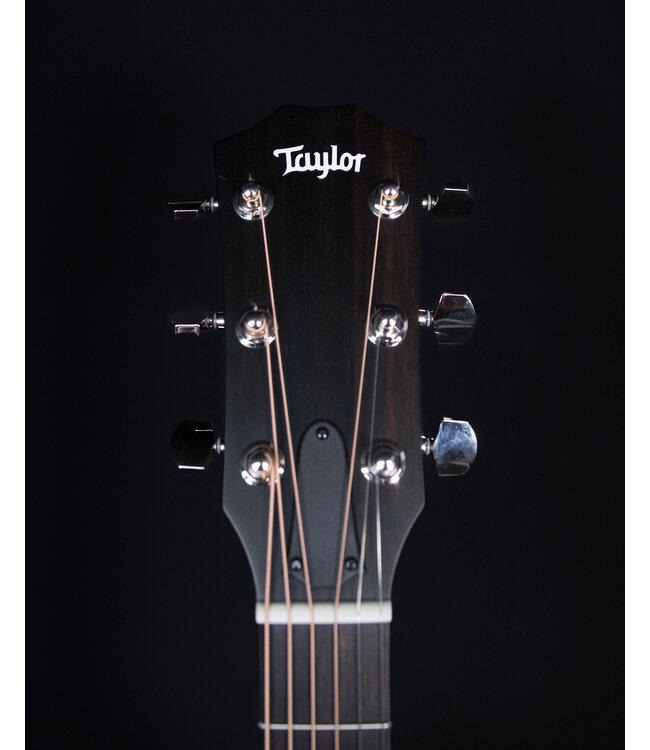 Taylor 314ce Studio Special Edition, Sapele/Sitka, Natural