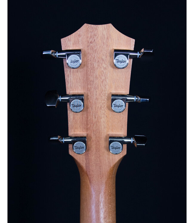 Taylor 214ce Plus, Natural