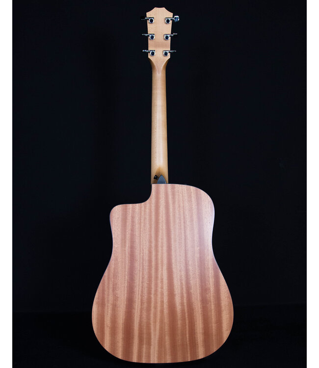 Taylor 110ce, Sapele/Sitka