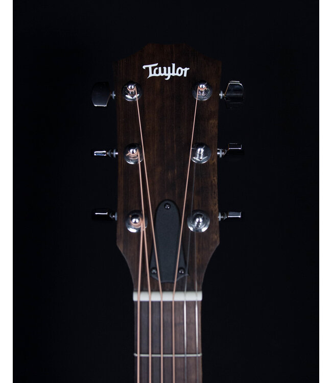 Taylor 110ce, Sapele/Sitka