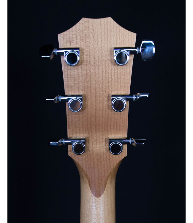 Taylor 110ce, Sapele/Sitka