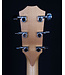 Taylor 110ce, Sapele/Sitka