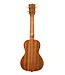Kala KA-Surf Series Concert Ukulele, Wipeout
