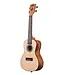 Kala KA-EMI-C Concert Ukulele with Bag, Satin Mahogany