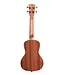 Kala KA-CG Concert Ukulele, Gloss Mahogany