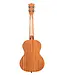 Kala KA-15T Tenor Ukulele, Mahogany/No Binding