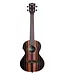 Kala KA-EBY-TE Tenor Ukulele with Pickup, Satin/Striped Ebony