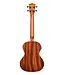 Kala KA-TE Tenor Ukulele