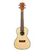Kala KA-SCG Concert Ukulele