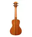 Kala KA-SCG Concert Ukulele