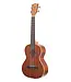 Kala KA-T Tenor Ukulele