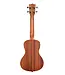 Kala KA-C Concert Ukulele