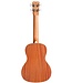 Cordoba 15CM-E Concert Ukulele, Mahogany w/ Edgeburst