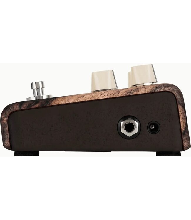 LR Baggs Align Series Chorus Pedal