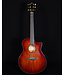 Taylor BTO Custom GS All Mahogany w/ Hard Shell Case, 2011 - USED