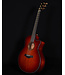 Taylor BTO Custom GS All Mahogany w/ Hard Shell Case, 2011 - USED