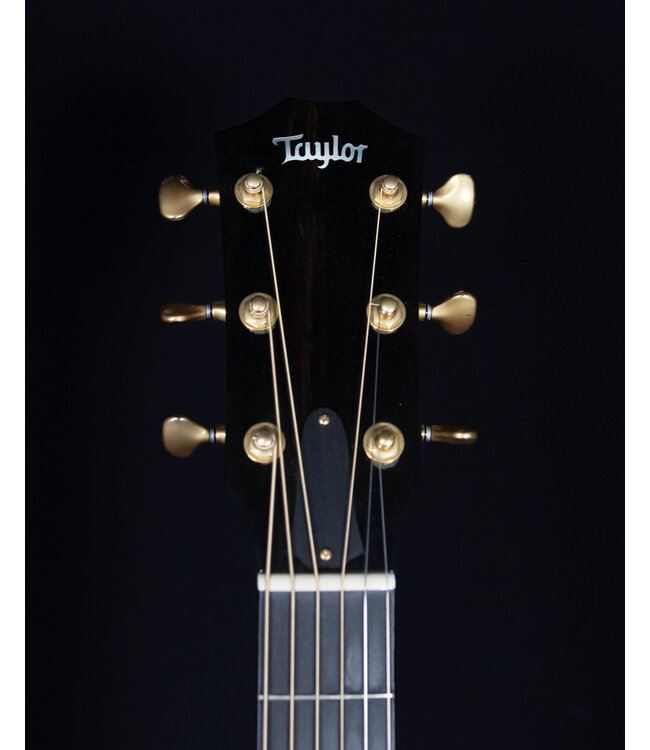 Taylor BTO Custom GS All Mahogany w/ Hard Shell Case, 2011 - USED