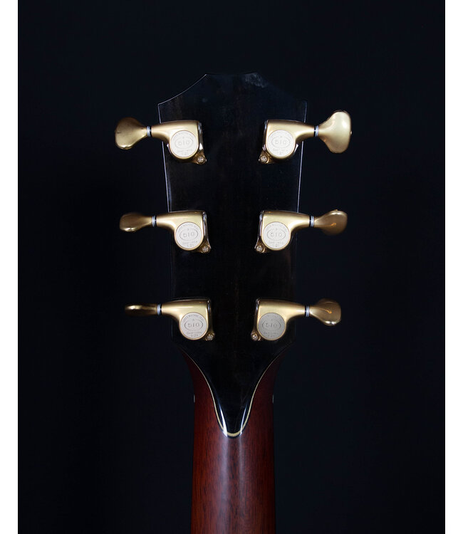 Taylor BTO Custom GS All Mahogany w/ Hard Shell Case, 2011 - USED