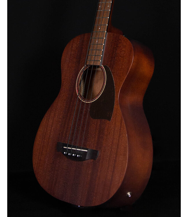 Ibanez PCBE12 Acoustic/Electric Bass, Open Pore Mahogany