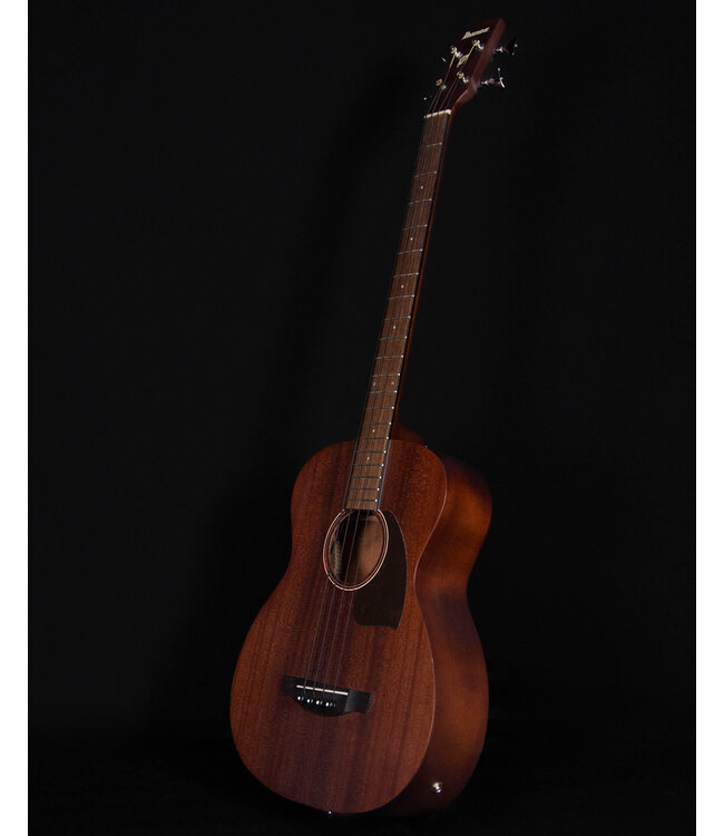 Ibanez PCBE12 Acoustic/Electric Bass, Open Pore Mahogany