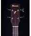 Ibanez PCBE12 Acoustic/Electric Bass, Open Pore Mahogany