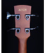 Ibanez PCBE12 Acoustic/Electric Bass, Open Pore Mahogany