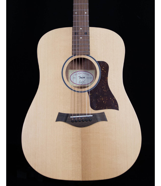 Taylor BBTE with ES-T and Gig Bag