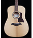 Taylor BBTE with ES-T and Gig Bag