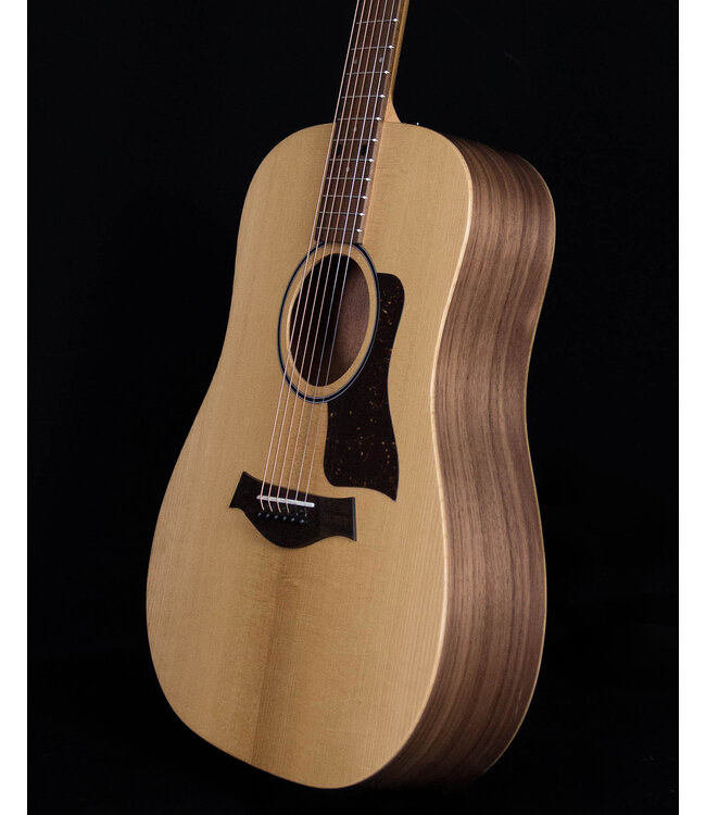 Taylor BBTE with ES-T and Gig Bag