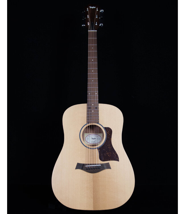 Taylor BBTE with ES-T and Gig Bag