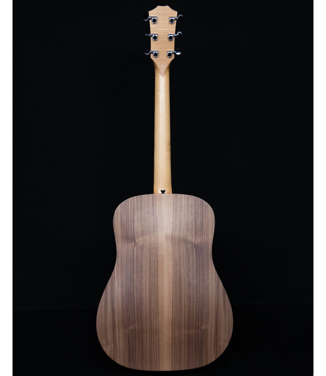 Taylor BBTE with ES-T and Gig Bag