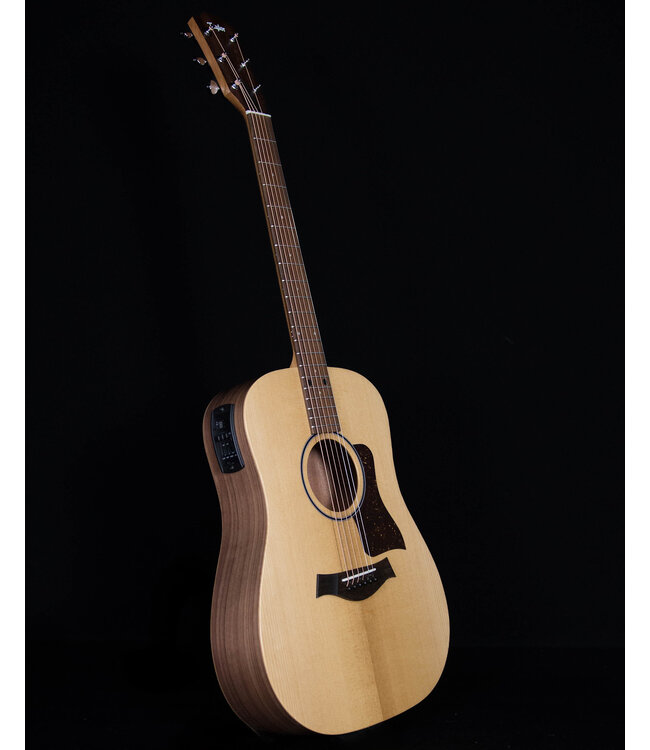 Taylor BBTE with ES-T and Gig Bag