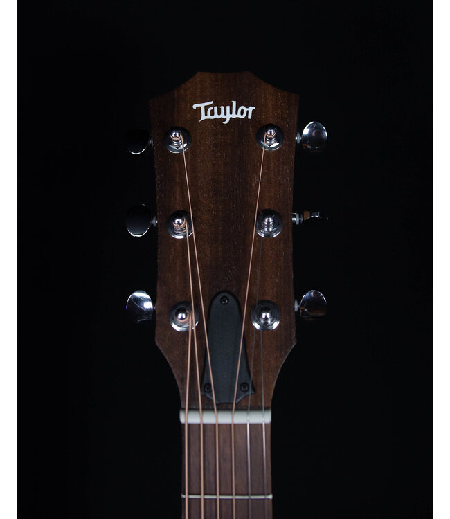 Taylor BBTE with ES-T and Gig Bag