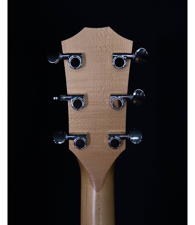 Taylor BBTE with ES-T and Gig Bag