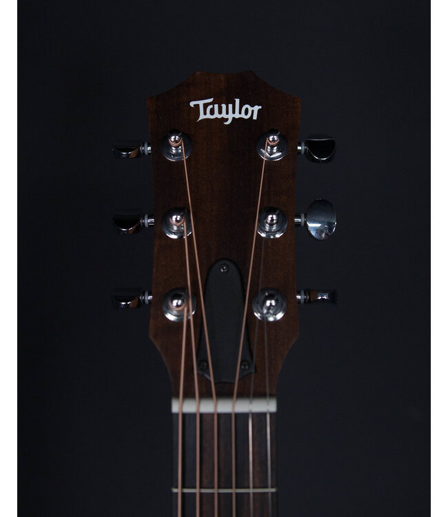 Taylor GS Mini with Mahogany Top