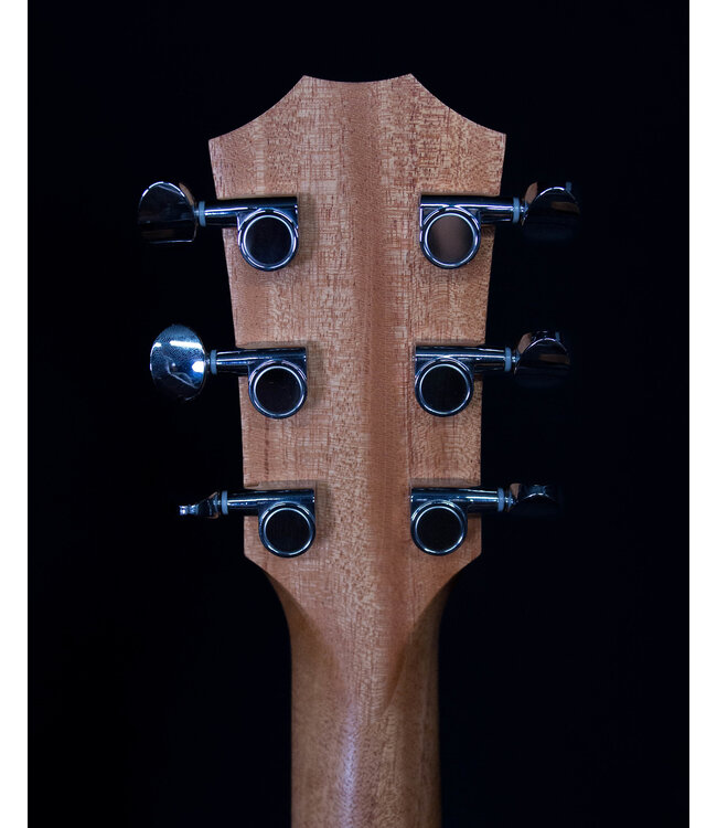 Taylor GS Mini with Mahogany Top