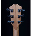 Taylor GS MINI-e Mahogany