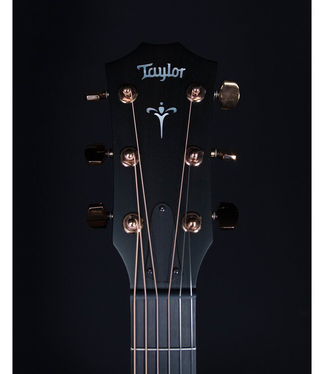 Taylor 724ce Grand Autditorium Acoustic Electric Guitar, Solid Koa