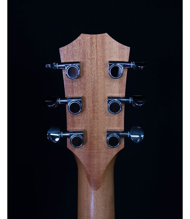 Taylor GS Mini Sapele with Sitka Spruce Top