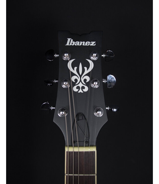Ibanez AM53, Tobacco Flat